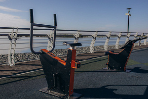 Велотренажер Романа 207.43.10