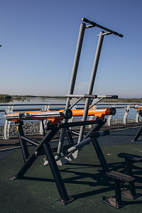 Тренажер Гравитрон Romana 211.08.00