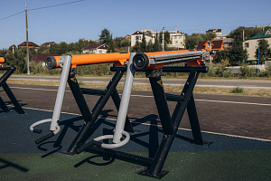 Тренажер Тяга к поясу стоя Romana 211.07.00