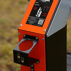 Тренажер степпер Романа 207.48.10